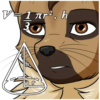 🤯 V = 1/3 πr². h matematica, geometria, cono, formula, istruzione, animale, gatto whatsapp sticker