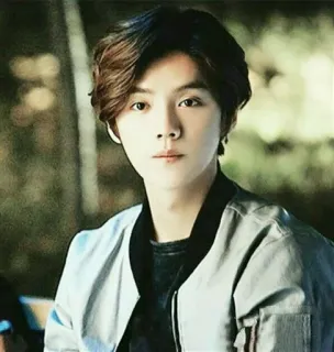 😶 Luhan знаменитость, человек, певец, актер telegram sticker