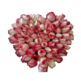 🌸 hoa, hoa hồng, trái tim, bó hoa, tình yêu, lễ tình nhân telegram sticker