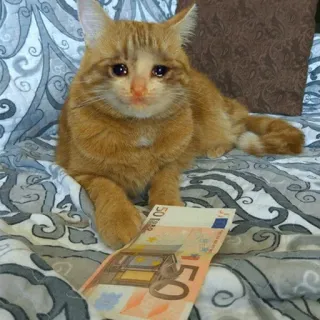 Crying Cat Deluxe telegram stickers