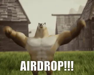 🎉 AIRDROP!!! 動物, クマ, ポーズ, 面白い, ミーム, ゲーム, エアドロップ telegram sticker