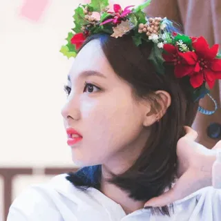 🐰 Nayeon Nayeon, Kpop, Idole, Couronne de fleurs, Portrait, Femme telegram sticker