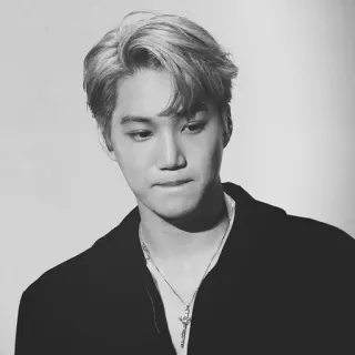 🗝 Kai Kai, K-Pop, นักร้อง, ไอดอล, ขาวดำ, เกาหลี telegram sticker