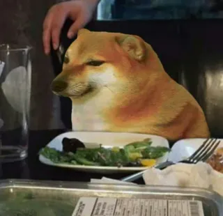 🌭 cheems doge, dog, meme, cheems, funny, animal, food, dinner whatsapp sticker