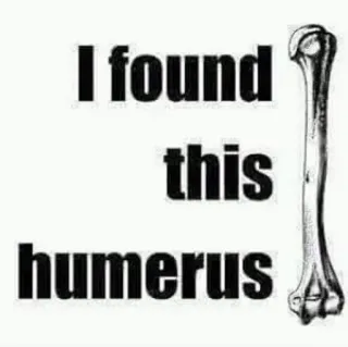 😂 I found this humerus Humor, Knochen, Wortspiel, Anatomie, Skelett, lustig whatsapp sticker