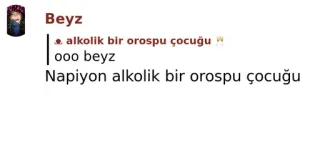 🛅 alkolik bir orospu çocuğu offensive, insult, vulgar whatsapp sticker
