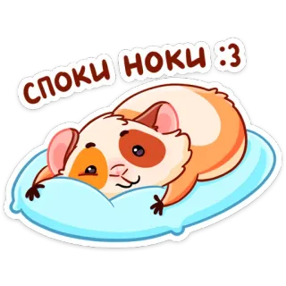 😘 Споки ноки :3 cavia, carino, dormire, cuscino, animale, animale domestico telegram sticker