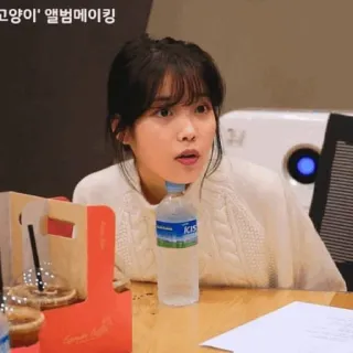 🦋 고양이' 앨범메이킹 IU, Корейский, Певица, Альбом, Создание whatsapp sticker