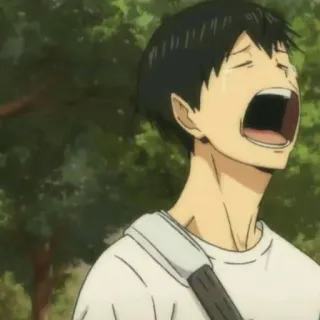 🏐 Tobio Kageyama Haikyuu anime, cartoon, haikyuu, tobio kageyama, crying, scream whatsapp sticker