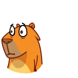 😨 animal, desenho animado, expressão, fofo, adesivo, urso telegram sticker
