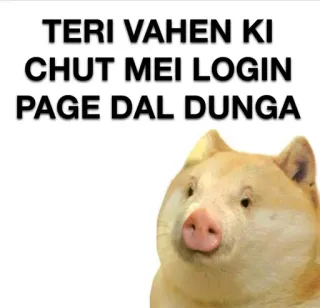 🐷 TERI VAHEN KI CHUT MEI LOGIN PAGE DAL DUNGA insulte, offensant, mème, chien, cochon whatsapp sticker