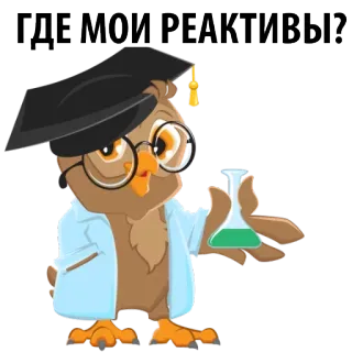 🍭 ГДЕ МОИ РЕАКТИВЫ? coruja, cientista, química, químicos, graduado, ciência, desenho animado whatsapp sticker