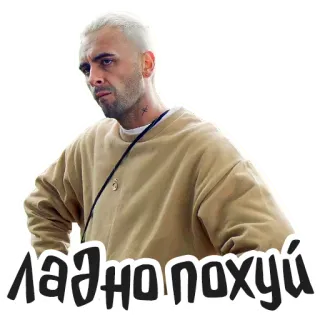 😌 ЛАДНОПОХУЙ homme, expression, décontracté, portrait, russe, texte telegram sticker