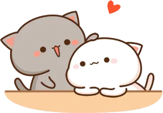 😍 gato, lindo, amor, corazón, animal, melocotón, Moti, pareja whatsapp sticker