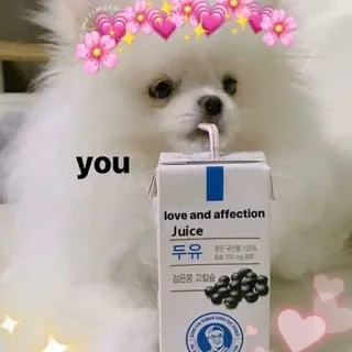 ❤️ you chien, chiot, mignon, jus, amour, affection telegram sticker