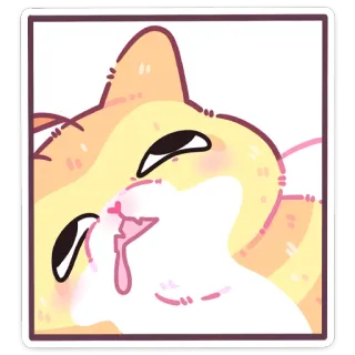 🫠 cat, animal, cute, sticker telegram sticker