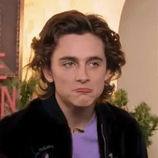 😒 Timothée Chalamet Тимоти Шаламе, актер, знаменитость, портрет whatsapp sticker
