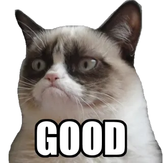 😌 Grumpy Cat GOOD gato, gruñón, meme, bien, animal, mascota whatsapp sticker