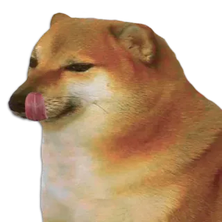 Cheems telegram stickers
