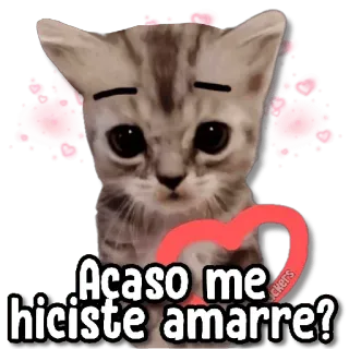 😀 Acaso me hiciste amarre? 猫, 心, 可爱, 贴纸, 爱, 小猫 whatsapp sticker