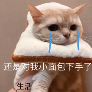 😭 还是对我小面包下手手了
生活 gato, pan, triste, animal, meme telegram sticker