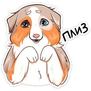 ⏺ плиз собака, щенок, милый, животное, умоляющий, просьба, пожалуйста telegram sticker