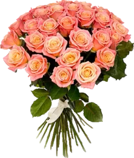 Больше стиков тут: @stikery4 whatsapp stickers