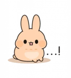 😐 ....! lapin, mignon, animal, kawaii, lapin whatsapp sticker