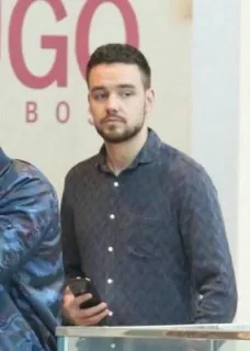 ✨ Liam Payne man, celebrity, person, singer, portrait telegram sticker