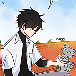 🐈‍⬛️ PURR! man, kat, anime, huisdier, spinnen, cartoon telegram sticker