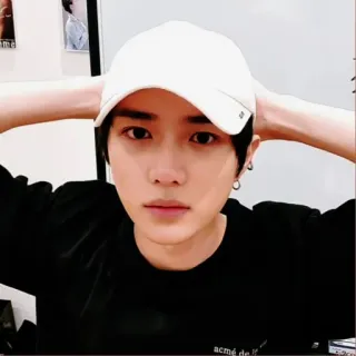 🐻 whatsapp sticker