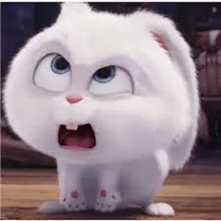 Snowball Packsie whatsapp stickers