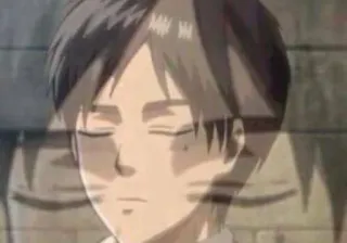 😑 Eren Yeager Attack on Titan anime, manga, Attack on Titan, Eren Yeager, shonen whatsapp sticker