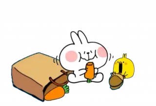 😳 ウサギ, ニンジン, ひよこ, かわいい, 動物 telegram sticker