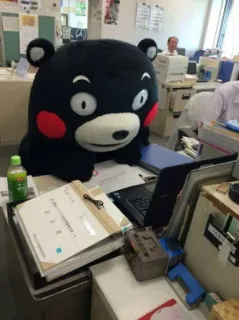 🖥 Kumamon Kumamon, miś, maskotka, biuro, laptop telegram sticker