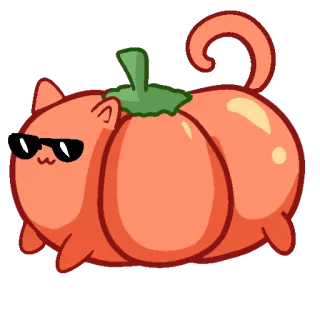 😎 chat, citrouille, lunettes de soleil, animal, halloween telegram sticker
