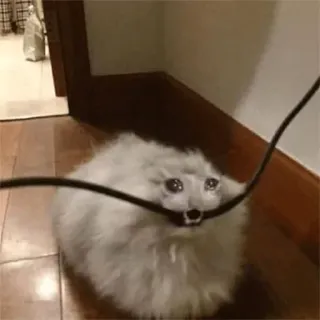 😒 cat, sad, crying, animal, wire, cute whatsapp sticker