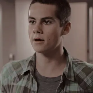 🦊 Dylan O'Brien 배우, 틴 울프, 유명인 telegram sticker