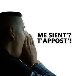 👍 ME SIENT'?, T'APPOST'! italiano, frase, meme telegram sticker