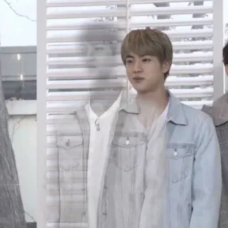🐹 Jin K-pop, BTS, ca sĩ, thần tượng telegram sticker