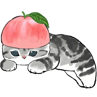 😓 猫, 桃子, 可爱, 动物, 小猫, 卡哇伊, 贴纸 telegram sticker