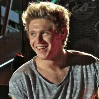 ✨ Niall Horan ไนออล ฮอแรน, วันไดเรกชัน, นักร้อง, ป็อปสตาร์, นักดนตรี, คนดัง telegram sticker