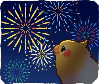 🎆 オカメインコ, 鳥, 花火, お祝い, 夜, 輝き, ペット telegram sticker