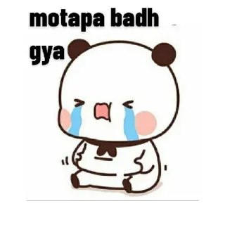 😂 motapa badh gya panda, crying, sad, cute, sticker, cartoon whatsapp sticker