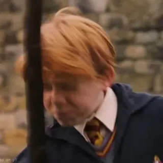 🦁 Ron Weasley Harry Potter ハリーポッター, ロン・ウィーズリー, 魔法使い, 学校, 魔法 telegram sticker