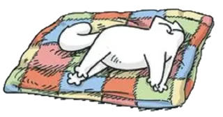 💤 cat, white, animal, sleeping, cartoon, bed, quilt whatsapp sticker