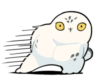 🦵 hibou, harfang des neiges, oiseau, animal, mignon telegram sticker