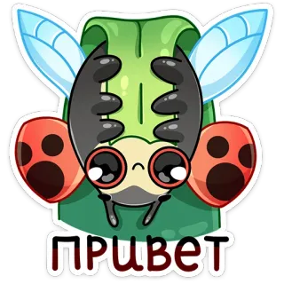 Олли :: @stickroom telegram stickers