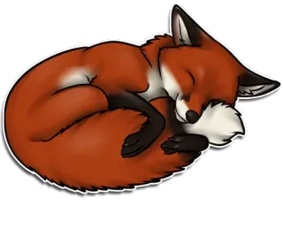 🔴 renard, animal, mignon, dormir, autocollant, renard roux, faune, dessin animé whatsapp sticker