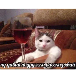 🫥 ну давай подружка рассказывай telegram sticker